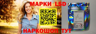 гидропоника Краснознаменск