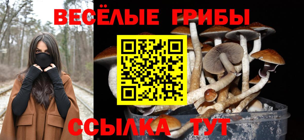 Псилоцибиновые грибы мухоморы Качканар