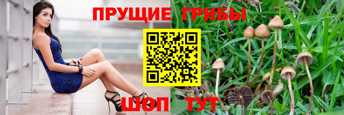 Галлюциногенные грибы ЛСД  Вход с VPN  Галлюциногенные грибы Cubensis  Качканар 